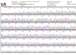 Virus sequence trace